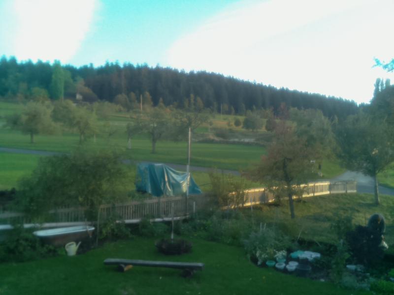 no webcam image available